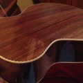 Rosewood OM back