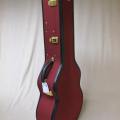 Ameritage custom case for Jay Rosenblatt&nbsp;Guitars