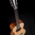 Hand built acoustic parlor guitar by luthier Jay&nbsp;Rosenblatt